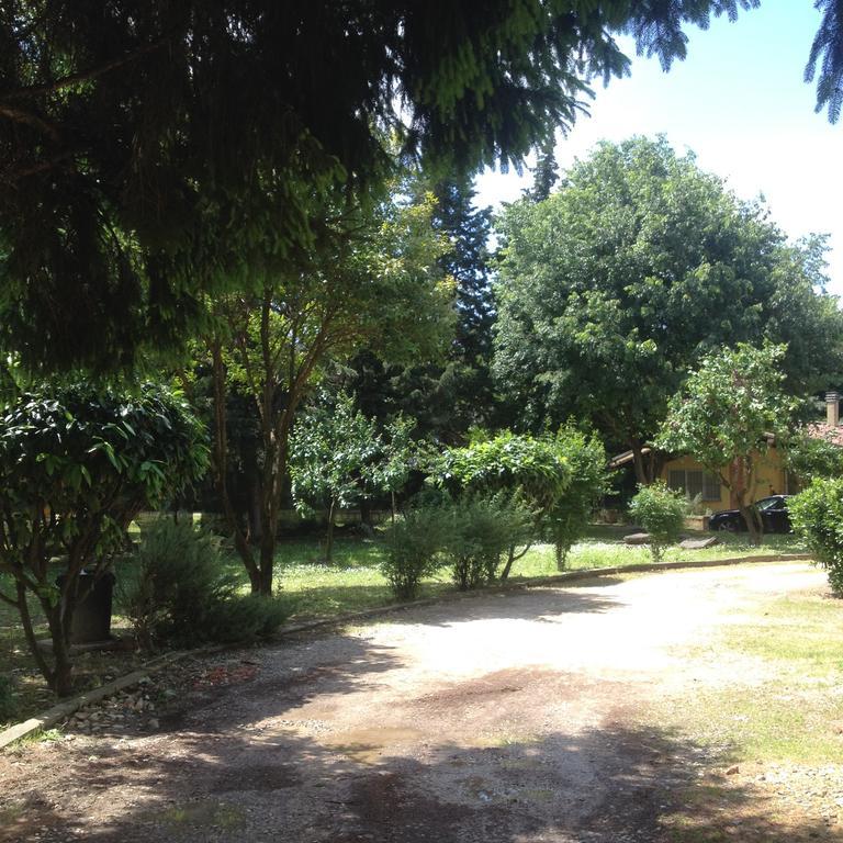 La Piccola Oasi Con Parcheggio Daire Floransa Dış mekan fotoğraf